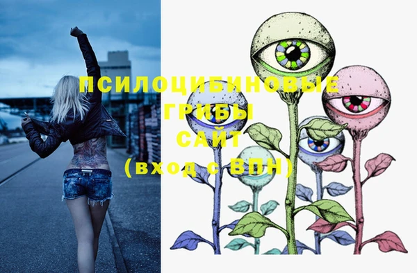 ECSTASY Рославль