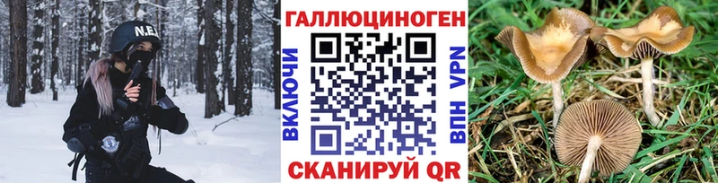 Галлюциногенные грибы мицелий  Киселёвск 